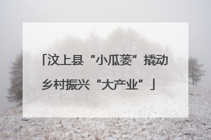汶上县“小瓜蒌”撬动乡村振兴“大产业”